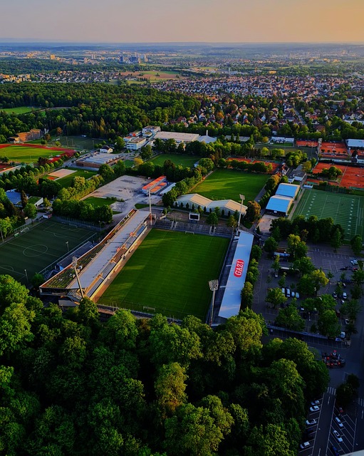 然而他未能 然而他未能