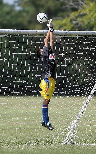 明星球员的 明星球员的