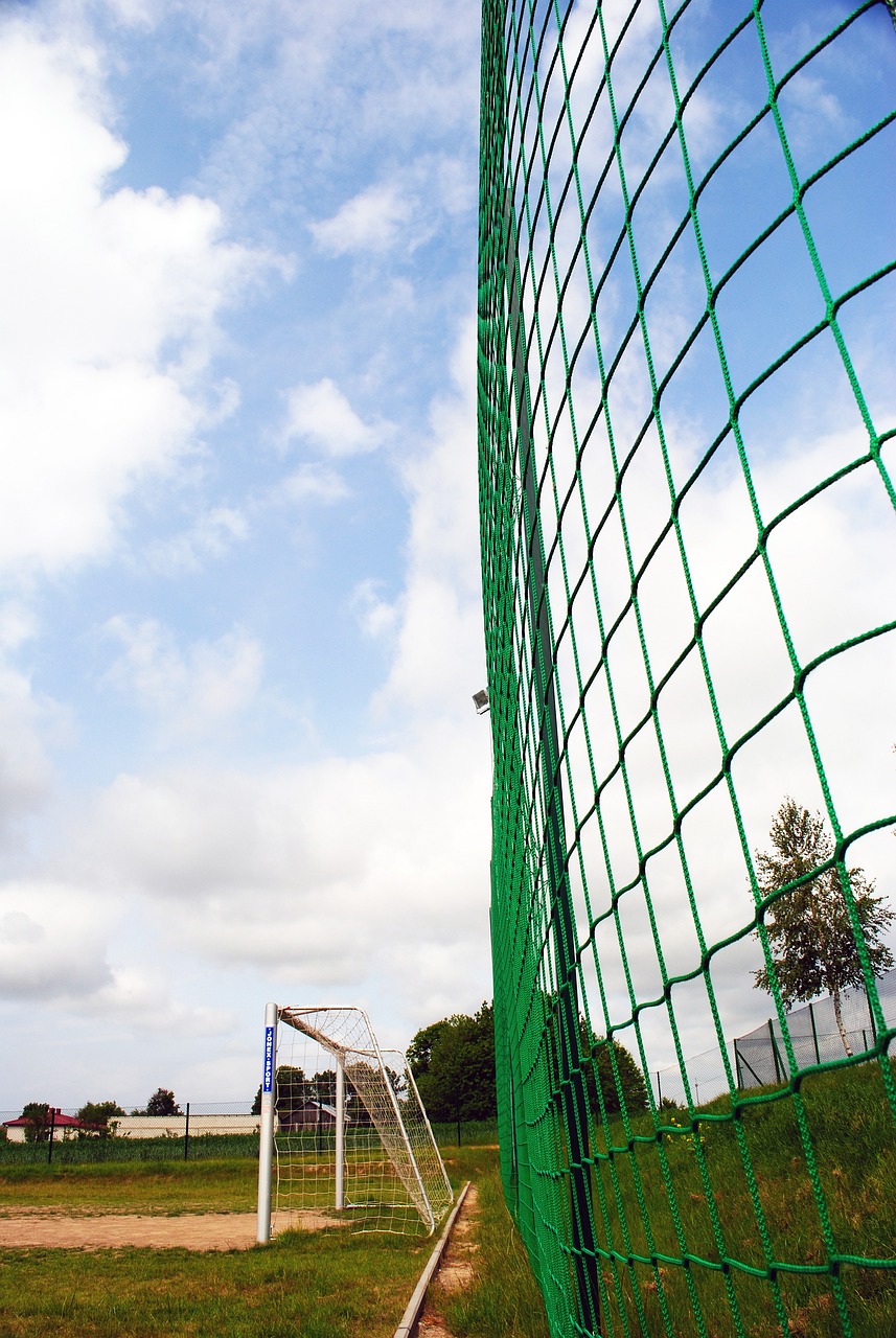 了佩德里的 了佩德里的