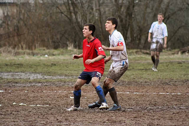 到茹萨在比 到茹萨在比